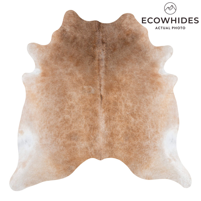 Brazilian Grey Palomino Cowhide Rug Size 6'10" L x 6'11" W 3170