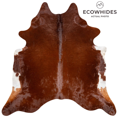 Brazilian Brown Cowhide Rug Size 8'1" L x 7'10" W 3646