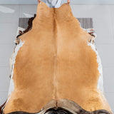 Brazilian Beige Cowhide Rug Size 7'10" L x 6'10" W 3716