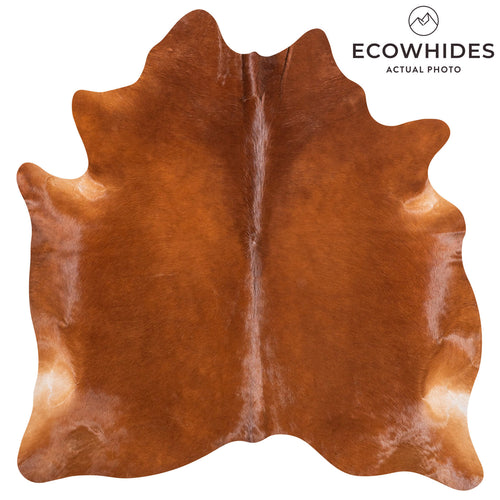 Brazilian Brown Cowhide Rug Size 5'10" L x 5'8" W 9015