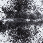 files/D_6801_b_aec39b36-28c4-404d-9682-9ca94fdde811.jpg