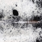 files/D_6822_b_8b6af79d-81a9-4398-b027-2b5fd7045007.jpg
