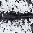 files/D_6838_b_d165d709-2207-4aa8-a4ef-33448391621c.jpg
