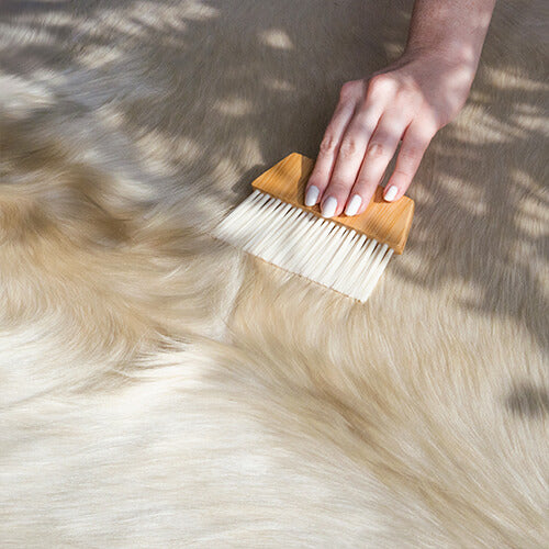 Easy To Clean Champagne