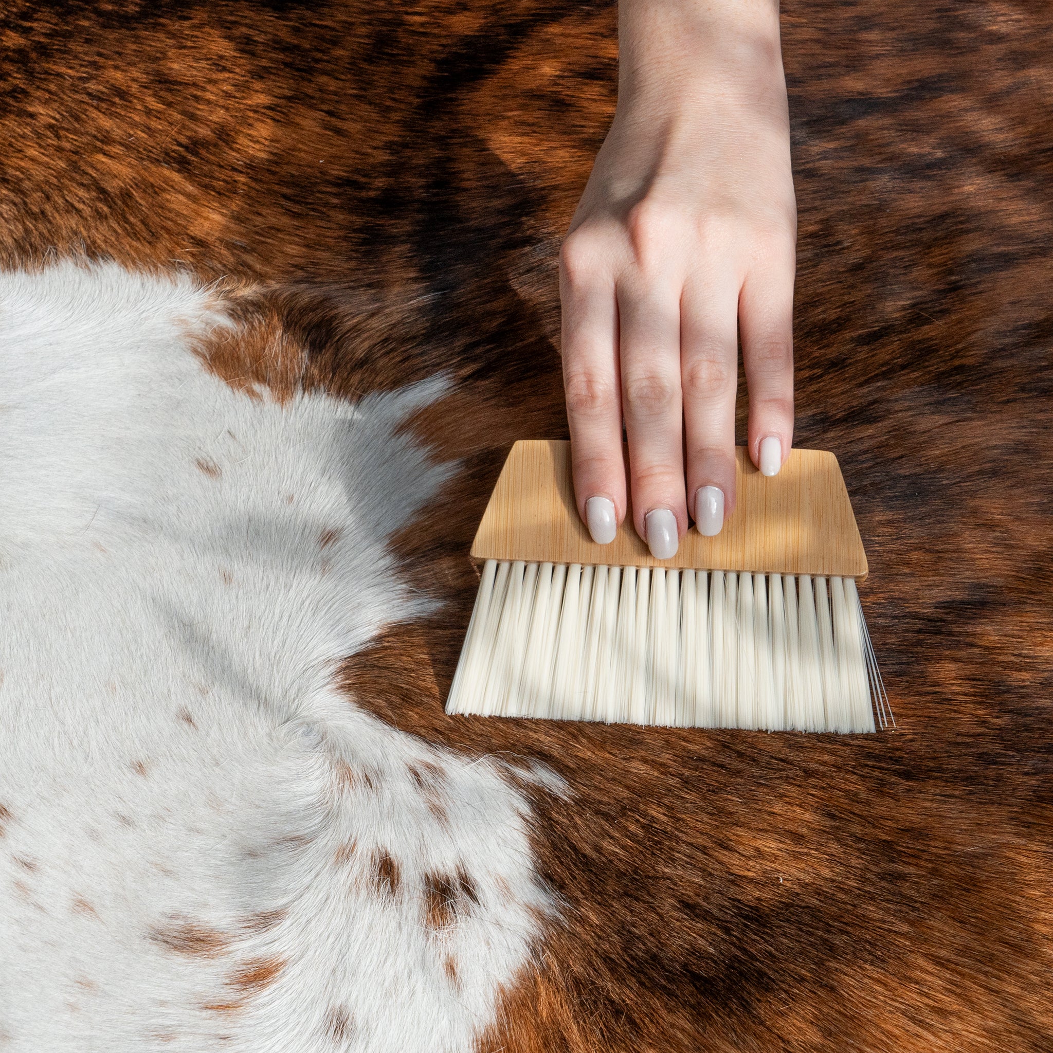 Easy to clean Brindle White Belly