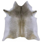files/Grey-Palomino-XXL.webp