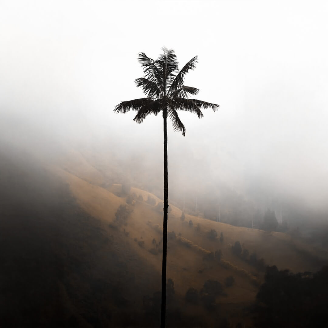 SUSTAINABLY SOURCED. ETHICALLY MADE.