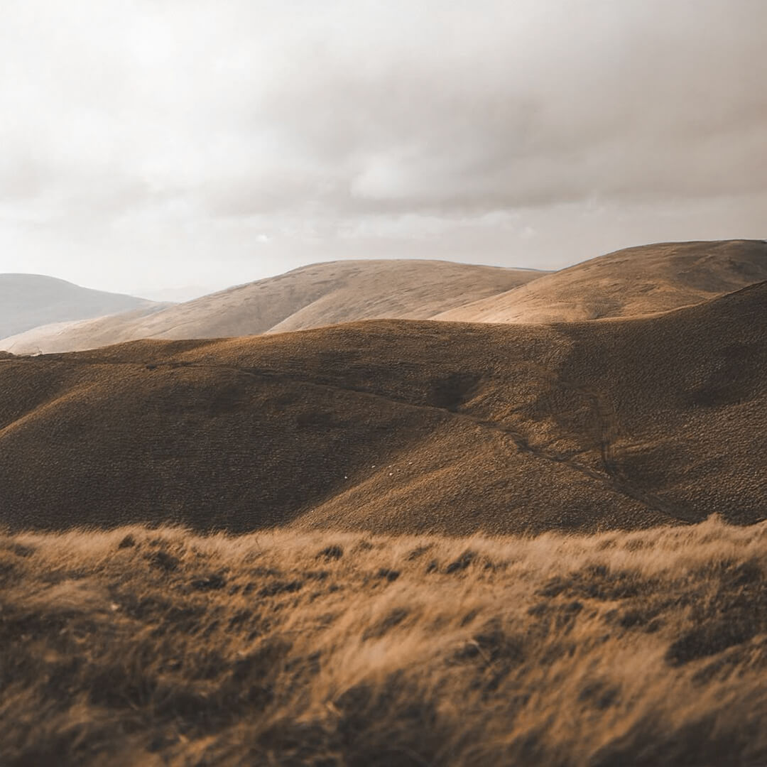 SUSTAINABLY SOURCED. ETHICALLY MADE.