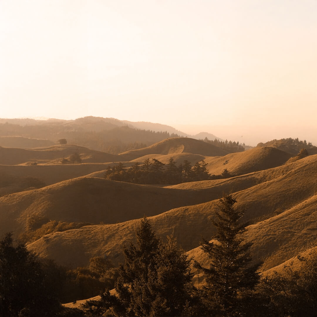 SUSTAINABLY SOURCED. ETHICALLY MADE.