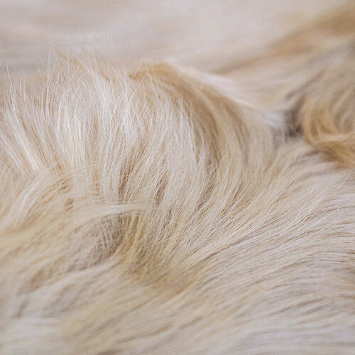 New Arrivals Cowhide Rugs