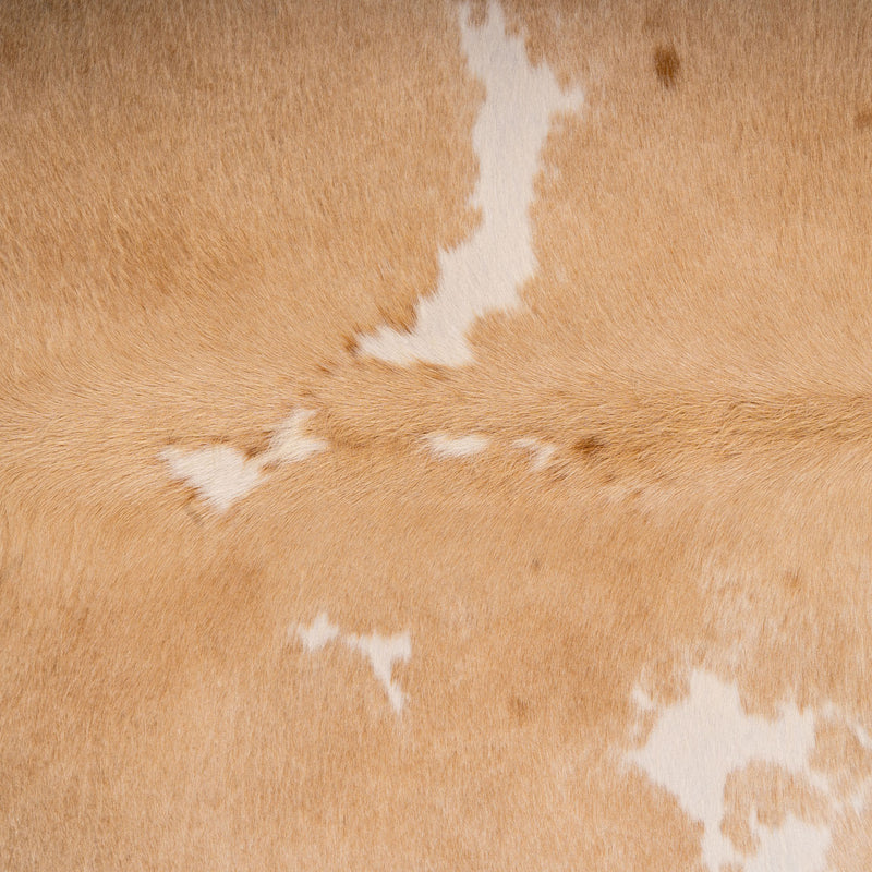 Brazilian Palomino and White Cowhide Rug Size 8' L x 6'3" W 7024