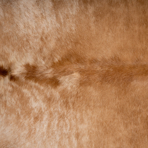 Brazilian Beige Cowhide Rug Size 7'10" L x 7'1" W 7043