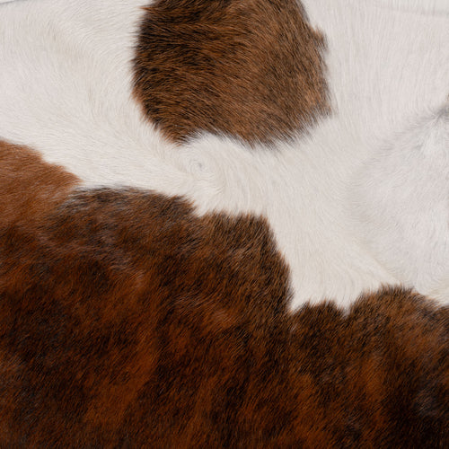 Brazilian Brindle White Belly Cowhide Rug Size 7'1" L x 6'10" W 7082