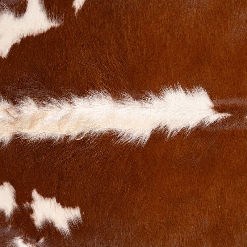 Brazilian Hereford Cowhide Rug Size 5'11" L x 5'10" W 7131