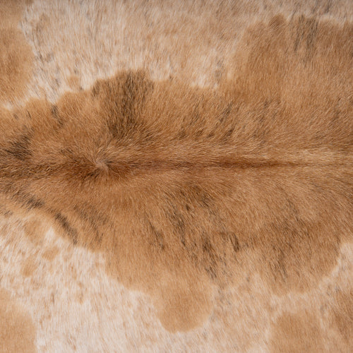 Brazilian Palomino and White Cowhide Rug Size 6'7" L x 6' W 7149