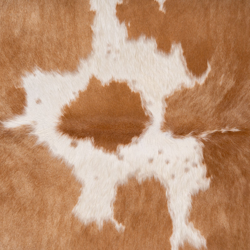 Brazilian Palomino and White Cowhide Rug Size 6'7" L x 6'2" W 7152