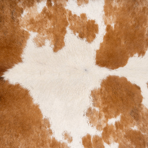 Brazilian Palomino and White Cowhide Rug Size 7'3" L x 6'9" W 7153