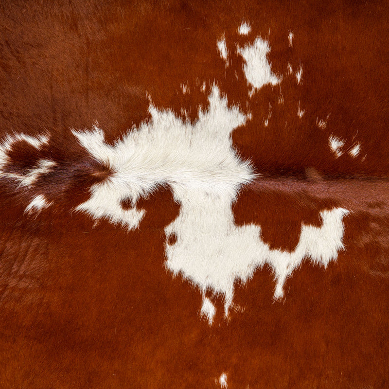 Brazilian Hereford Cowhide Rug Size 7'7" L x 7'2" W 7506