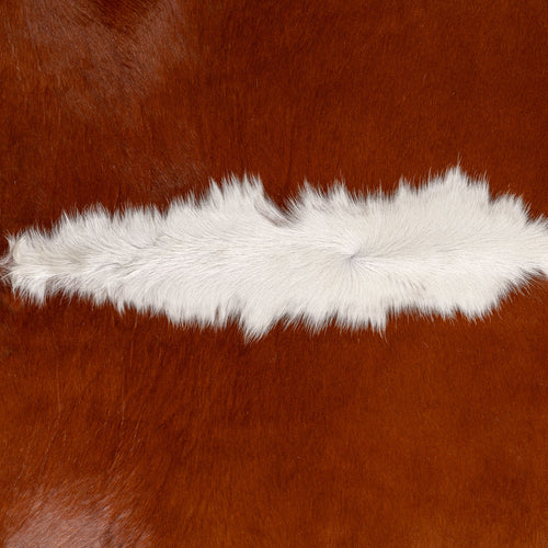 Brazilian Hereford Cowhide Rug Size 7'5" L x 6'9" W 7507