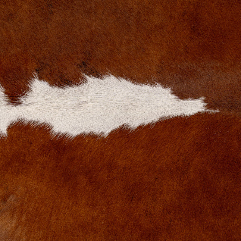 Brazilian Hereford Cowhide Rug Size 7'3" L x 7'6" W 7516