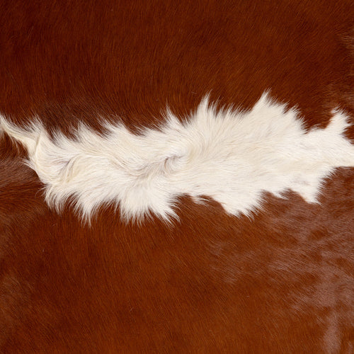 Brazilian Hereford Cowhide Rug Size 7'3" L x 7'6" W 7521