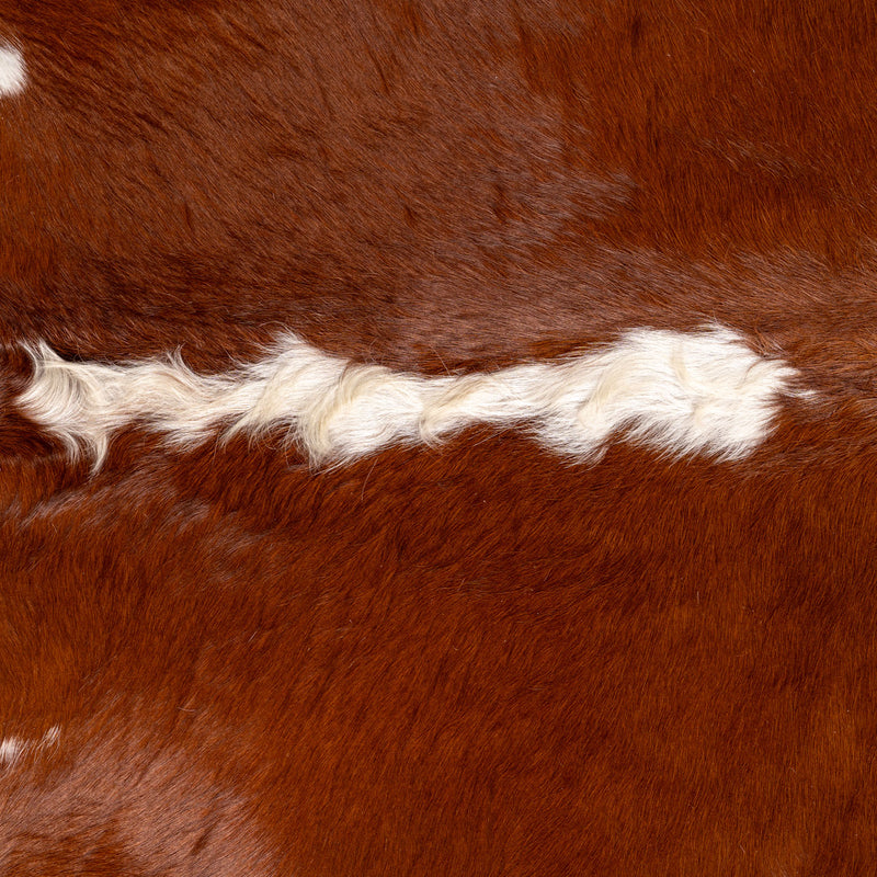 Brazilian Hereford Cowhide Rug Size 7'7" L x 6'11" W 7529