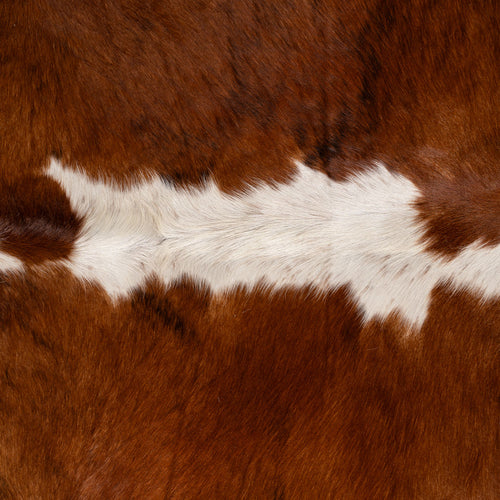 Brazilian Hereford Cowhide Rug Size 7'10" L x 7'3" W 7530