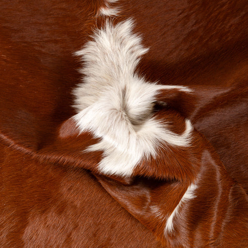 Brazilian Hereford Cowhide Rug Size 7'5" L x 7'5" W 7532