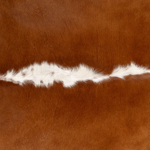 Brazilian Hereford Cowhide Rug Size 7'4" L x 7'2" W 7541