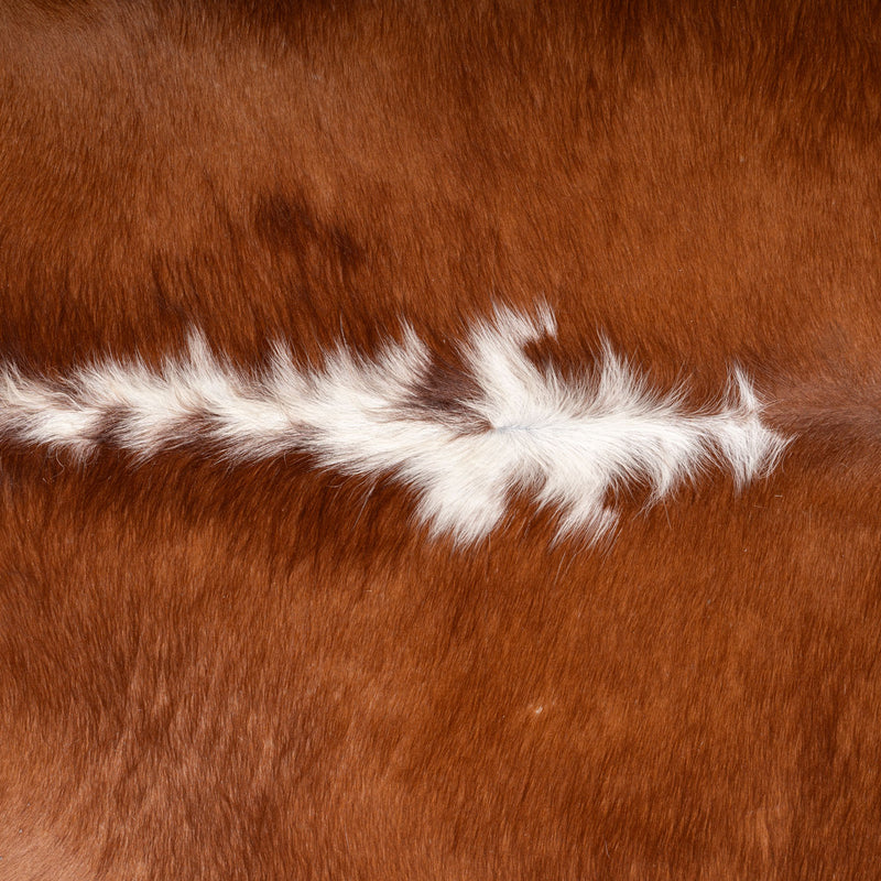 Brazilian Hereford Cowhide Rug Size 7'4" L x 7'6" W 7550