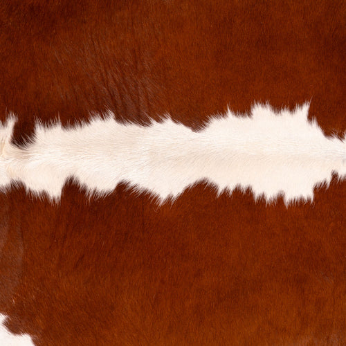 Brazilian Hereford Cowhide Rug Size 7'10" L x 7'4" W 7551