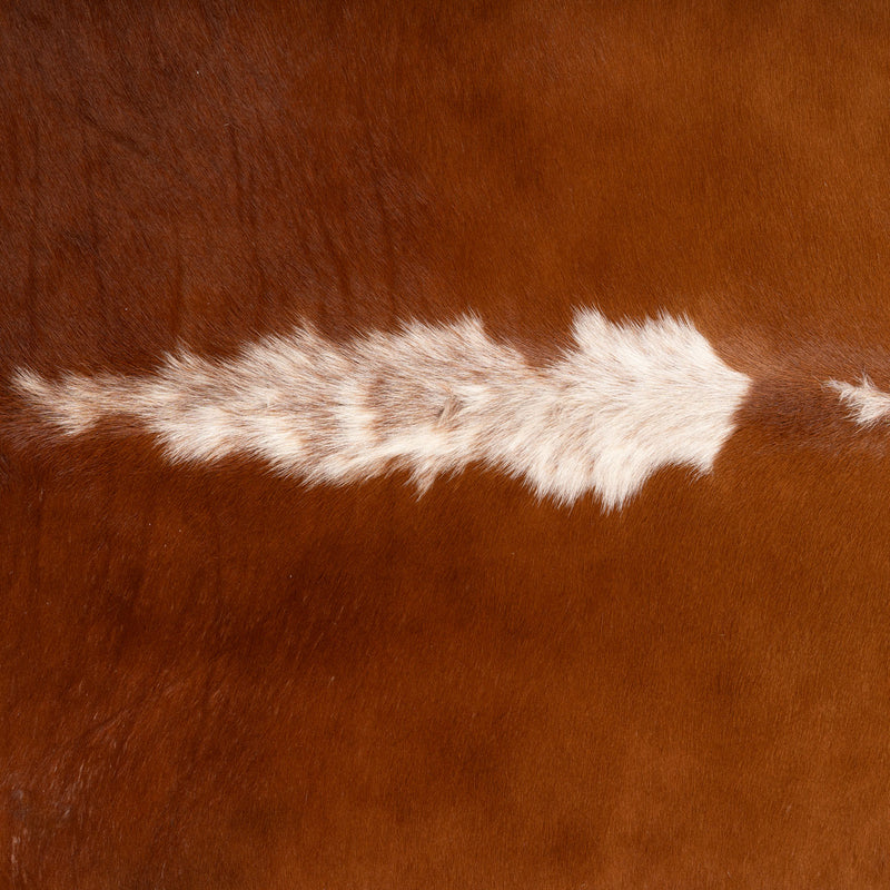 Brazilian Hereford Cowhide Rug Size 7'11" L x 7'10" W 7552