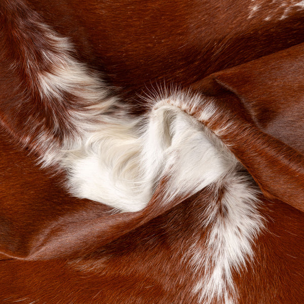 Brazilian Hereford Cowhide Rug Size 7'6" L x 7'10" W 7555