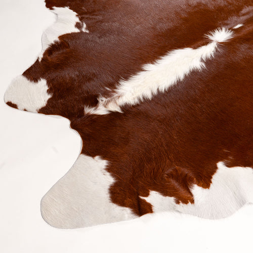 Brazilian Hereford Cowhide Rug Size 7'7" L x 7' W 7556