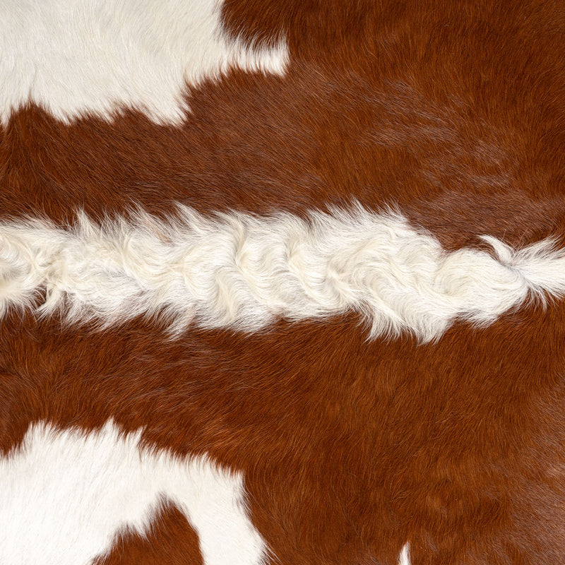 Brazilian Hereford Cowhide Rug Size 7'10" L x 7'10" W 7559