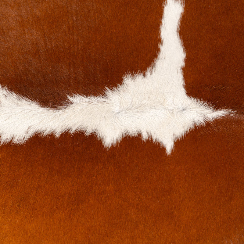 Brazilian Hereford Cowhide Rug Size 6'1" L x 6'6" W 7564