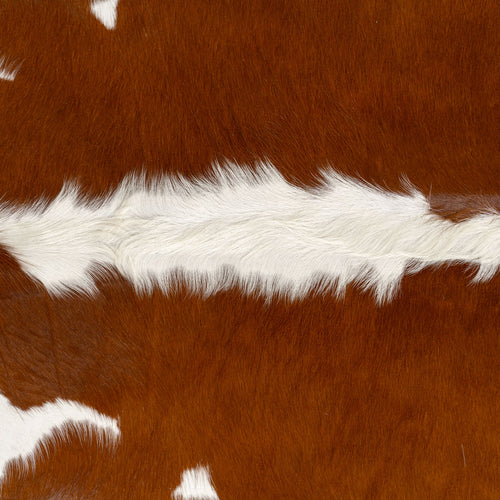 Brazilian Hereford Cowhide Rug Size 6'7" L x 6'8" W 7567