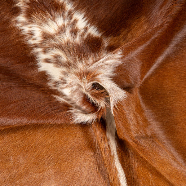 Brazilian Hereford Cowhide Rug Size 6'5" L x 6'7" W 7572