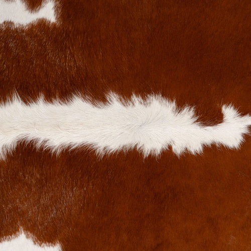 Brazilian Hereford Cowhide Rug Size 6'11" L x 7' W 7584