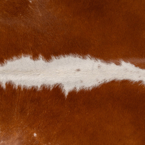 Brazilian Hereford Cowhide Rug Size 7'3" L x 6'9" W 7589