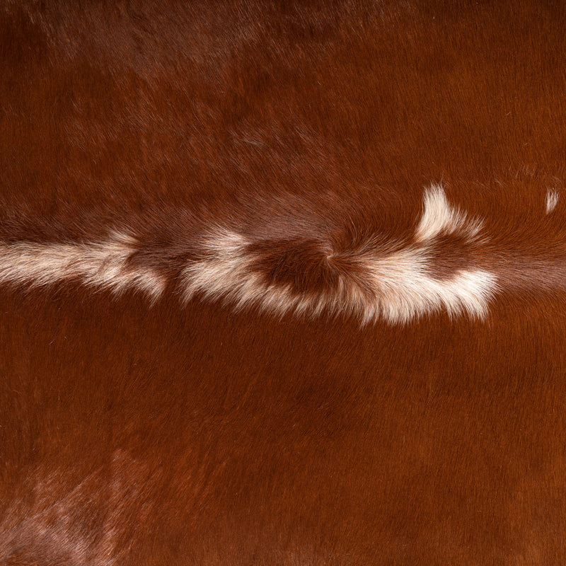 Brazilian Hereford Cowhide Rug Size 6'2" L x 6'4" W 7592