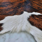 files/TricolorCalfhide6_e051e01b-441d-4706-a19d-3f9a9998d0cd.jpg