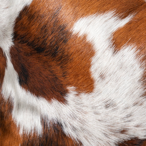 Tricolor Cowhide Pillow