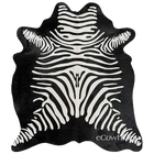 files/Zebra_Reverse.webp