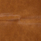 files/brown_spine__76961.1622337674.1280.1280_1280x960_5c3a83c8-6f64-41cf-baca-9716027c034f.jpg