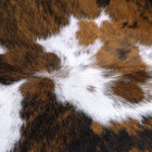 files/cowhidecloseups39_1500x1500_cc4b5862-6e1d-4f93-88ae-eb537b0111eb.jpg
