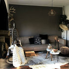 files/light_brindle_6__65327.1519433441.1280.1280.jpg