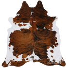 files/tricolor_brindle__03206.1619311556.1280.1280.webp