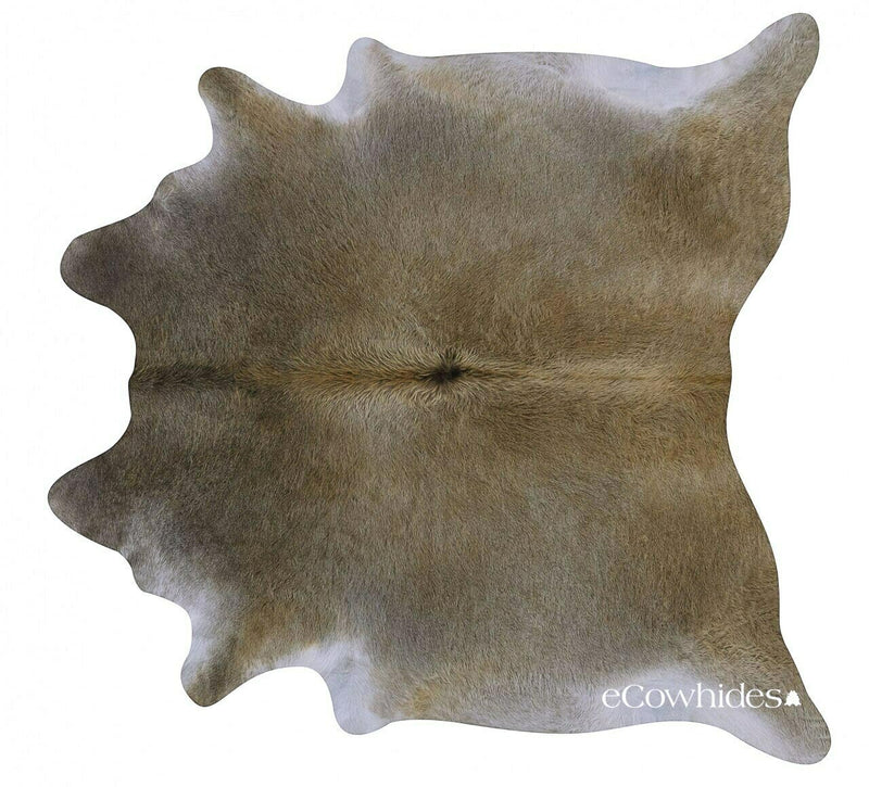 Grey Palomino Brazilian Cowhide Rug: Large , Natural Suede Leather | eCowhides