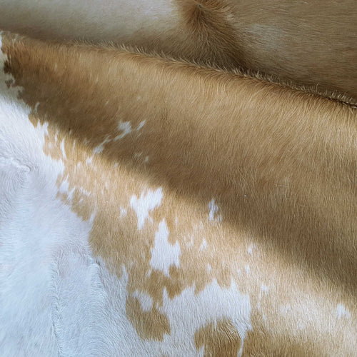 Palomino And White Brazilian Cowhide Rug: Xxl , Natural Suede Leather | eCowhides